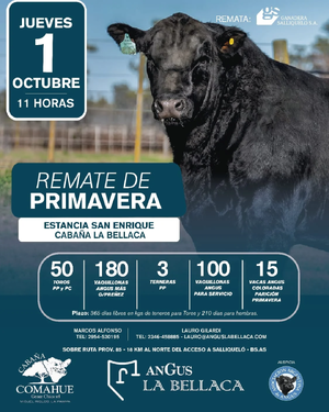 REMATE DE PRIMAVERA – ESTANCIA SAN ENRIQUE Y CABAÑA LA BELLACA