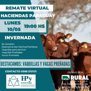 Remate Virtual