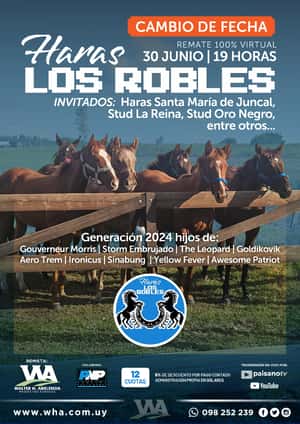 Haras Los Robles