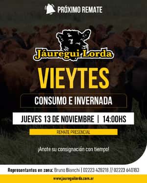 13 de Noviembre - Vieytes