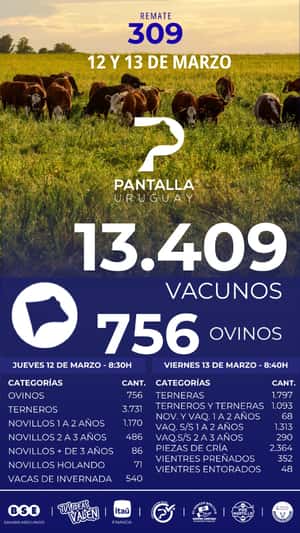 309º remate Pantalla Uruguay