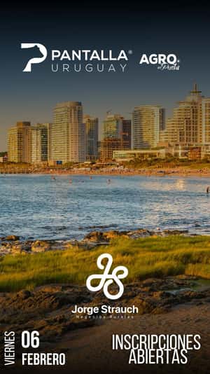 307º remate Pantalla Uruguay / Agro En Punta