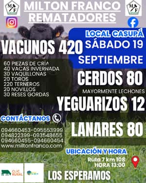 Feria mensual setiembre