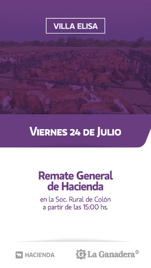 REMATE FERIA EN SOCIEDAD RURAL COLÓN