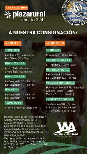324º remate Plaza Rural