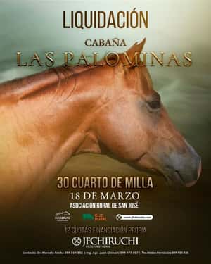 CABAÑA LAS PALOMINAS