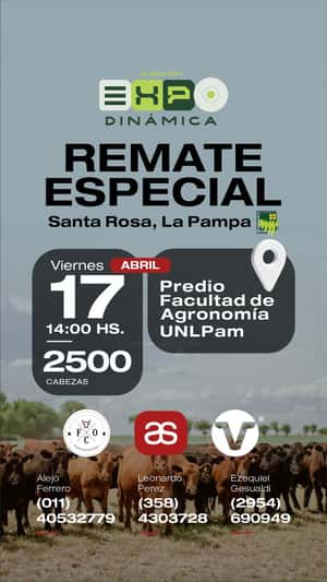 Remate Especial Expo Dinámica