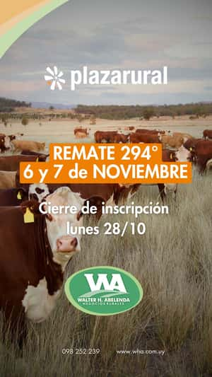 294º remate Plaza Rural 