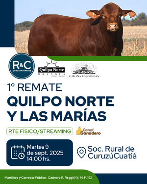 1° Remate Quilpo Norte y Las Marías 