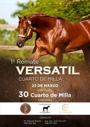 1º REMATE VERSATIL