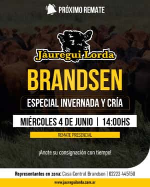 04 de Junio - Brandsen