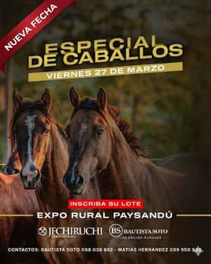 NUEVA FECHA - ESPECIAL DE CABALLOS