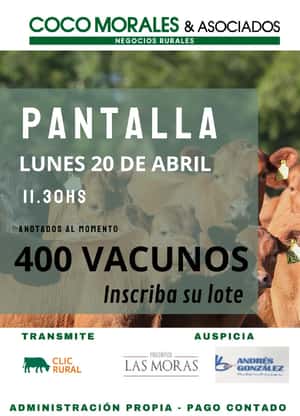 Imagen Pantalla Coco Morales