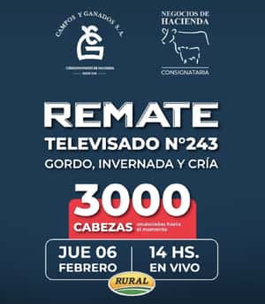 243° REMATE POR PANTALLA