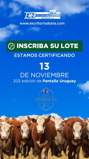 302º remate Pantalla Uruguay