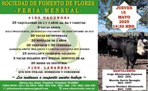 104° Feria mensual-  Escr. Jorge Altamiranda Espinosa