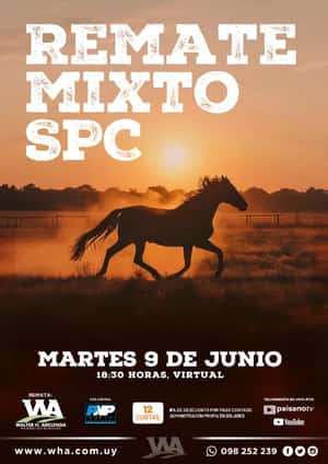 Remate Mixto SPC