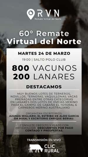 60º Remate Virtual del Norte