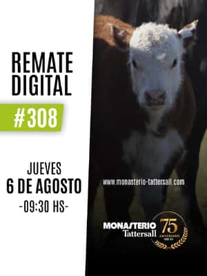 Remate digital 308°