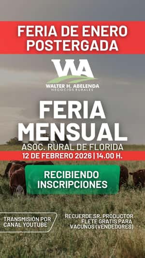 Feria Mensual