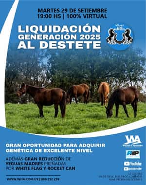 Haras Los Robles