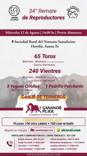 34° Remate de reproductores