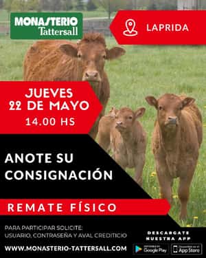 Remate Fisico Laprida
