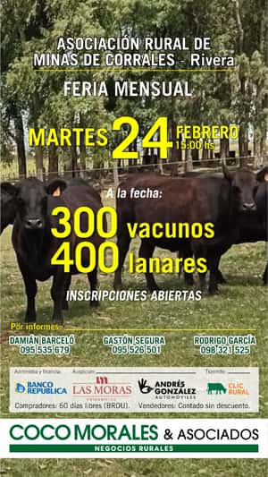 Imagen Feria Mensual