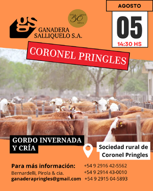  REMATE EN CORONEL PRINGLES