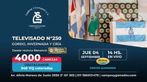 250° REMATE POR PANTALLA