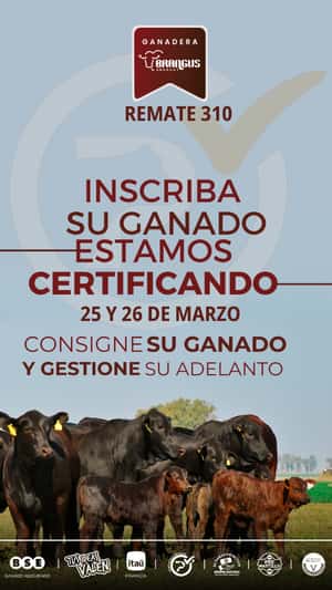 310º remate Pantalla Uruguay