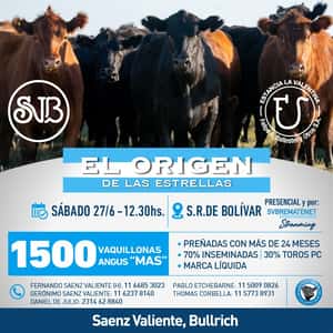 El Orígen de las Estrellas