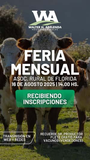 Feria Mensual