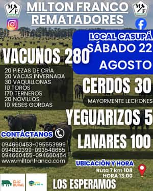 Feria mensual - Milton Franco