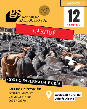 REMATE EN CARHUÉ