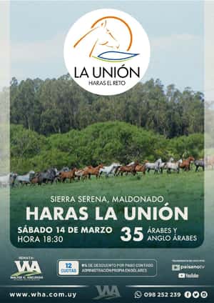 Haras La Union