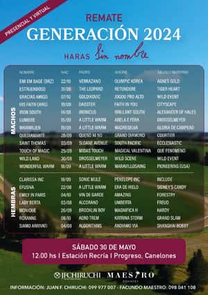 Haras Sin Nombre