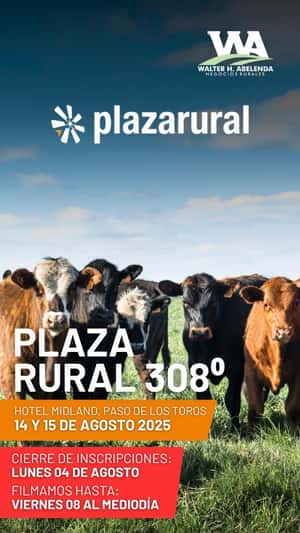 308º remate Plaza Rural