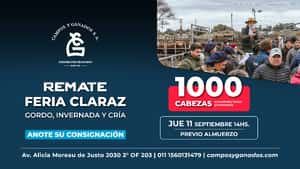 Remate feria mensual 