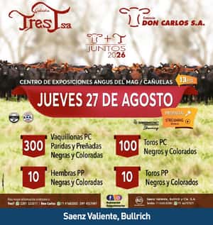 Tres T y Don Carlos