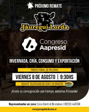 08 de Agosto - Palermo