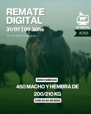  268° Remate por internet