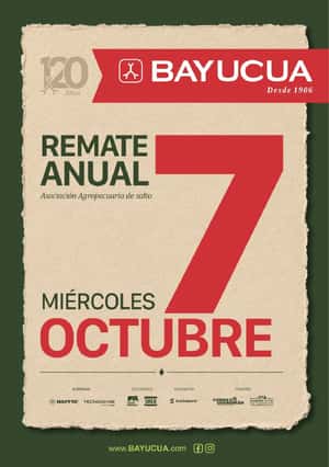 Cabaña Bayucua