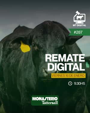 Remate digital 287°