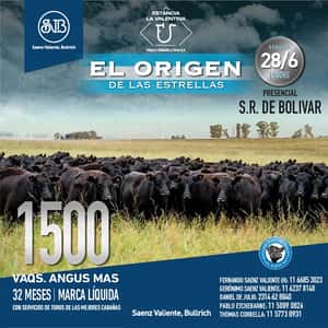 El Origen de las Estrellas