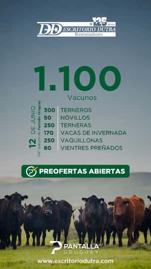 316º remate Pantalla Uruguay