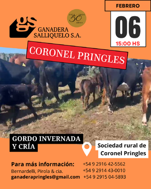 Gordo, Invernada y Cría