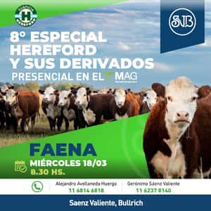 8° Especial Hereford y sus cruzas