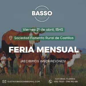 Feria Mensual - Gustavo Basso