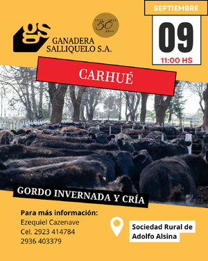 REMATE EN CARHUÉ